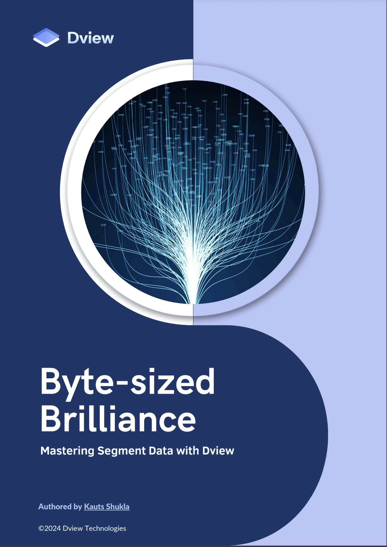 Master SaaS Data Management with Dview whitepaper cover